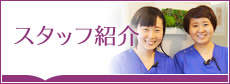 スタッフ紹介